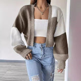 Lucile | Cardigan Court Colorblock Boutonne