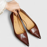 Zhaylisse | Talons Élégants