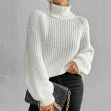 Josephine | Pull Epais a Col Roule